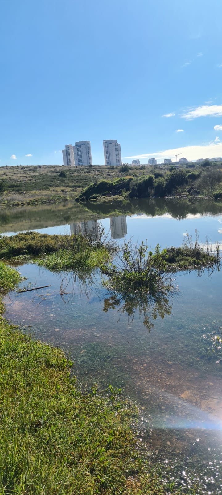 האגם הנסתר במודיעין 