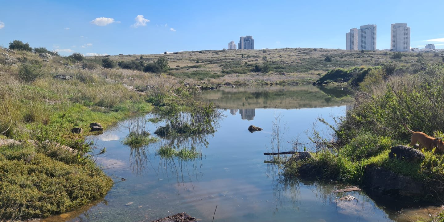 האגם הנעלם המודיעין