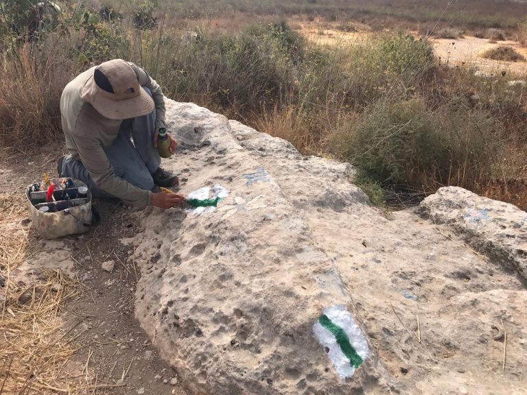 גבעת התיתורה